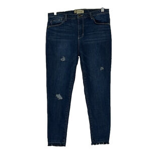 DEMOCRACY High Rise distressed jean, size 8, in good condition